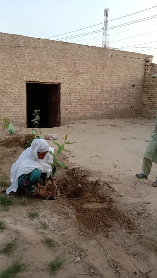 Green Seekers Activity